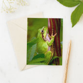 Carte Postale Emerald Embrace