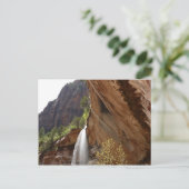 Carte Postale Emerald Pool Falls III du parc national Zion (Debout devant)