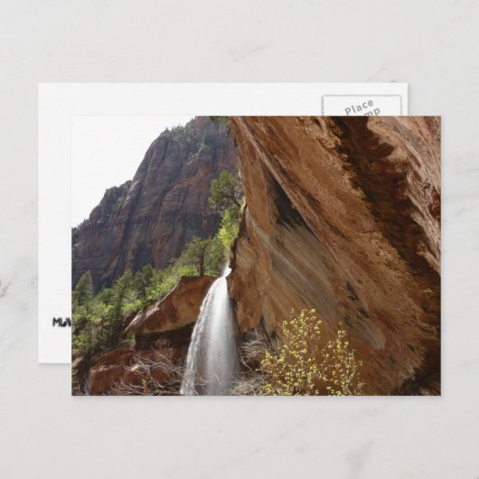 Carte Postale Emerald Pool Falls III du parc national Zion (Devant / Derrière)