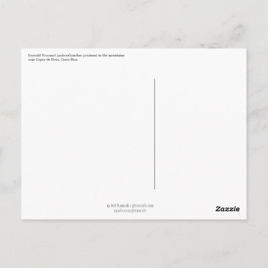 Carte Postale Emerald Toucanet (Dos)