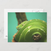 Carte Postale Émeraude (Devant / Derrière)