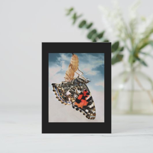 Carte Postale Émergence (Debout devant)