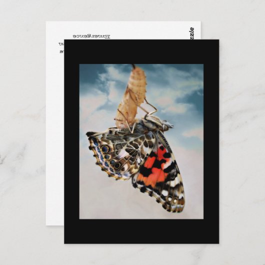 Carte Postale Émergence (Devant / Derrière)