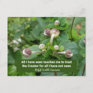 Carte Postale Emerson Citation Buds Flower Faith Trust the Creat