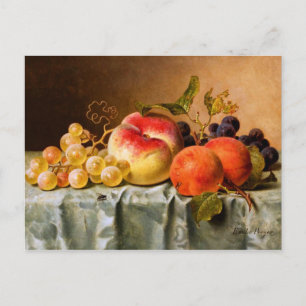 Carte Postale Emilie Preyer : Fruits à mouche