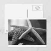 Carte Postale Éminis mono (Devant / Derrière)