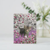 Carte Postale Emma en fleurs I – Petit chat gris (Debout devant)