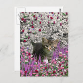 Carte Postale Emma en fleurs I – Petit chat gris (Devant / Derrière)