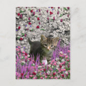 Carte Postale Emma en fleurs I – Petit chat gris (Devant)
