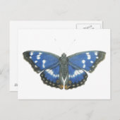 Carte Postale Empereur pourpre 2012 (Devant / Derrière)