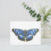 Carte Postale Empereur pourpre 2012 (Debout devant)