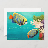 Carte Postale Emperor Angel (Devant / Derrière)