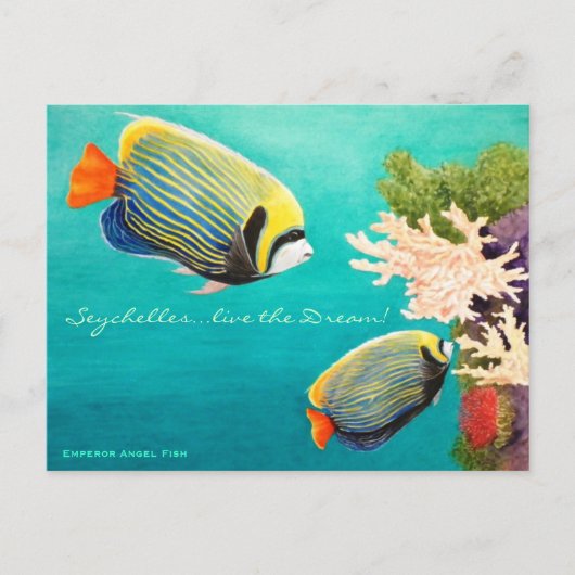 Carte Postale Emperor Angel (Devant)