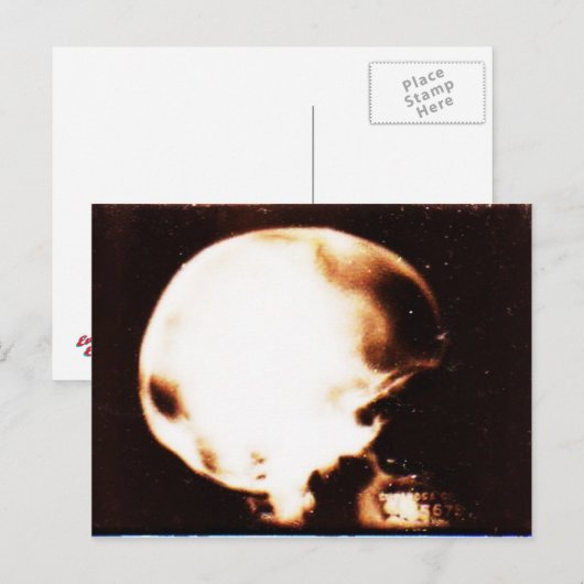 Carte Postale Empilé (Devant / Derrière)