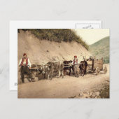 Carte Postale Empire ottoman (Devant / Derrière)