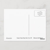 Carte Postale Empire State Building (Dos)