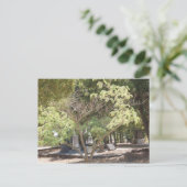 Carte Postale Emplacement de repos (Debout devant)