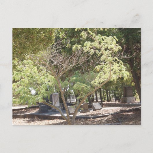 Carte Postale Emplacement de repos (Devant)