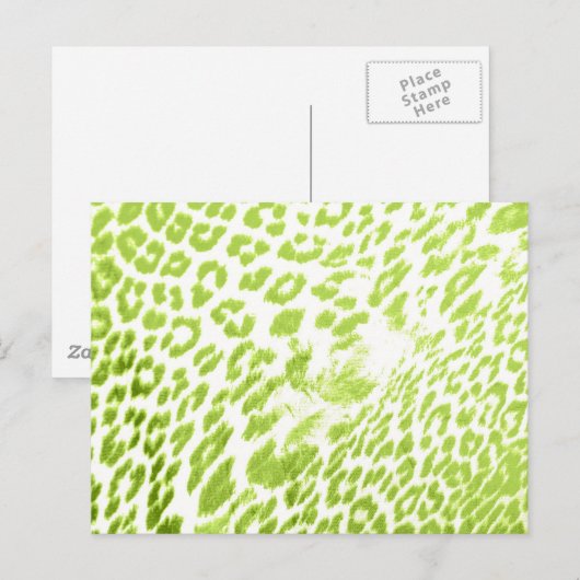 Carte Postale Empreinte de léopard de chaux (Devant / Derrière)
