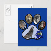 Carte Postale Empreinte de patte d'Alaska de loup (Devant / Derrière)