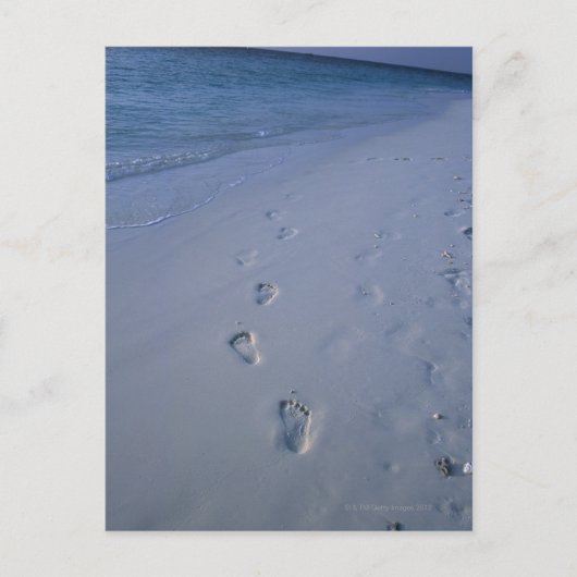 Carte Postale Empreinte de pied (Devant)