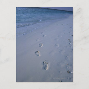 Carte Postale Empreinte de pied