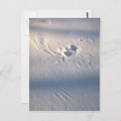 Carte Postale Empreinte de plume de chouette dans la neige (Devant / Derrière)