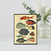 Carte Postale empreinte de poisson (Debout devant)