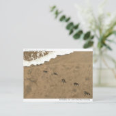 Carte Postale Empreinte du temps... (Debout devant)