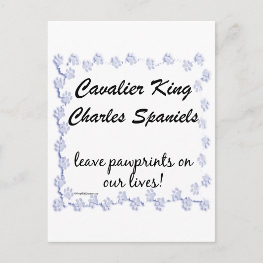 Carte Postale Empreintes Cavalier (Devant)