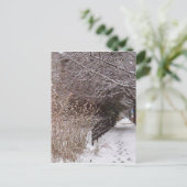 Carte Postale Empreintes dans la neige. (Debout devant)