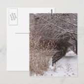 Carte Postale Empreintes dans la neige. (Devant / Derrière)