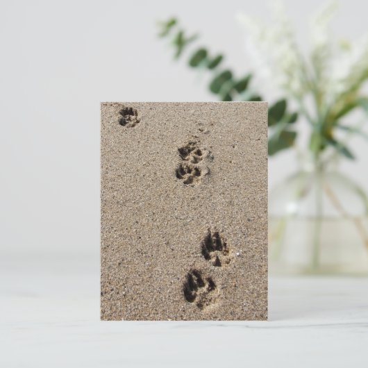 Carte postale empreintes de chien (Debout devant)