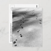 Carte Postale Empreintes de neige (Devant / Derrière)
