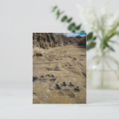 Carte Postale empreintes de pattes (Debout devant)