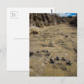 Carte Postale empreintes de pattes (Devant / Derrière)