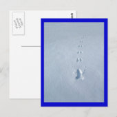 Carte Postale Empreintes d'oiseaux sauvages dans la neige (Devant / Derrière)