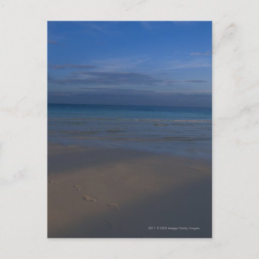 Carte Postale Empreintes sur la plage (Devant)