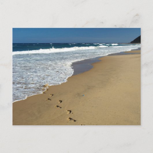 Carte Postale Empreintes sur la plage, Mabibi, Thongaland (Devant)