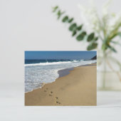 Carte Postale Empreintes sur la plage, Mabibi, Thongaland (Debout devant)