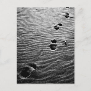 Carte Postale Empreintes sur le sable