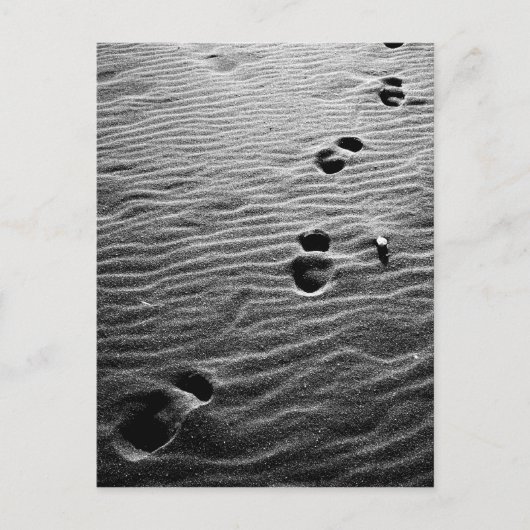 Carte Postale Empreintes sur le sable (Devant)