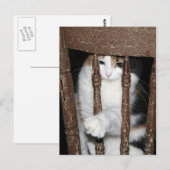 Carte Postale Emprisonné (Devant / Derrière)