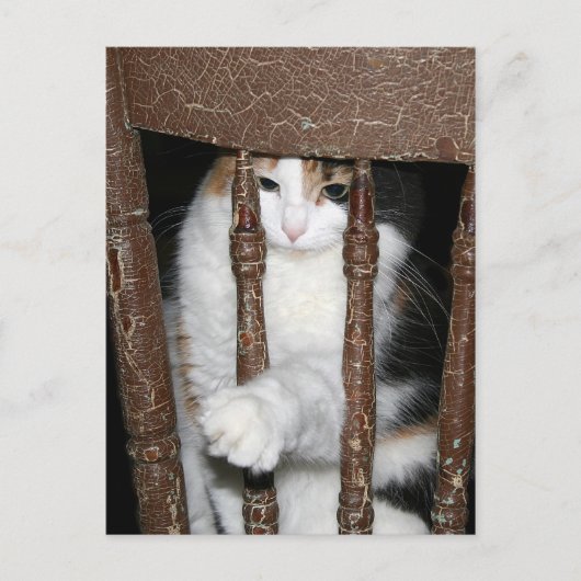 Carte Postale Emprisonné (Devant)