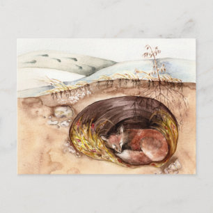 Carte Postale Emprunter Fox