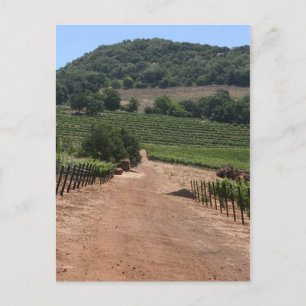 Carte Postale Empruntez le chemin le moins fréquenté