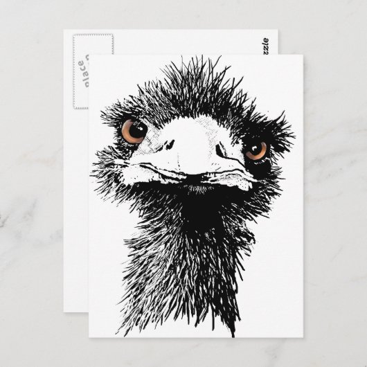 Carte Postale Emu (Devant / Derrière)