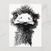 Carte Postale Emu (Devant)