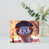 Carte postale Emu Wildlife (Debout devant)