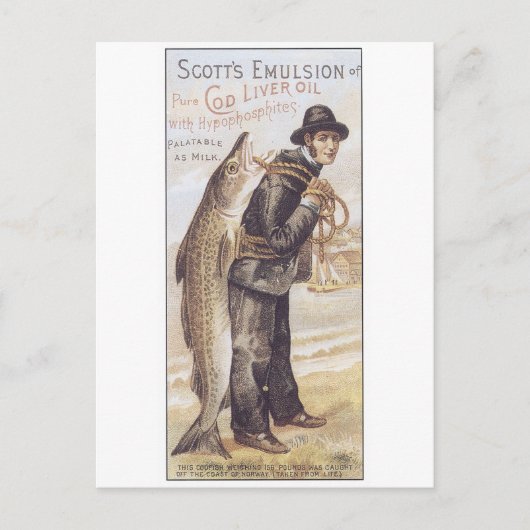 Carte Postale Emulsion Ecosse Cod Liver Huile (Devant)